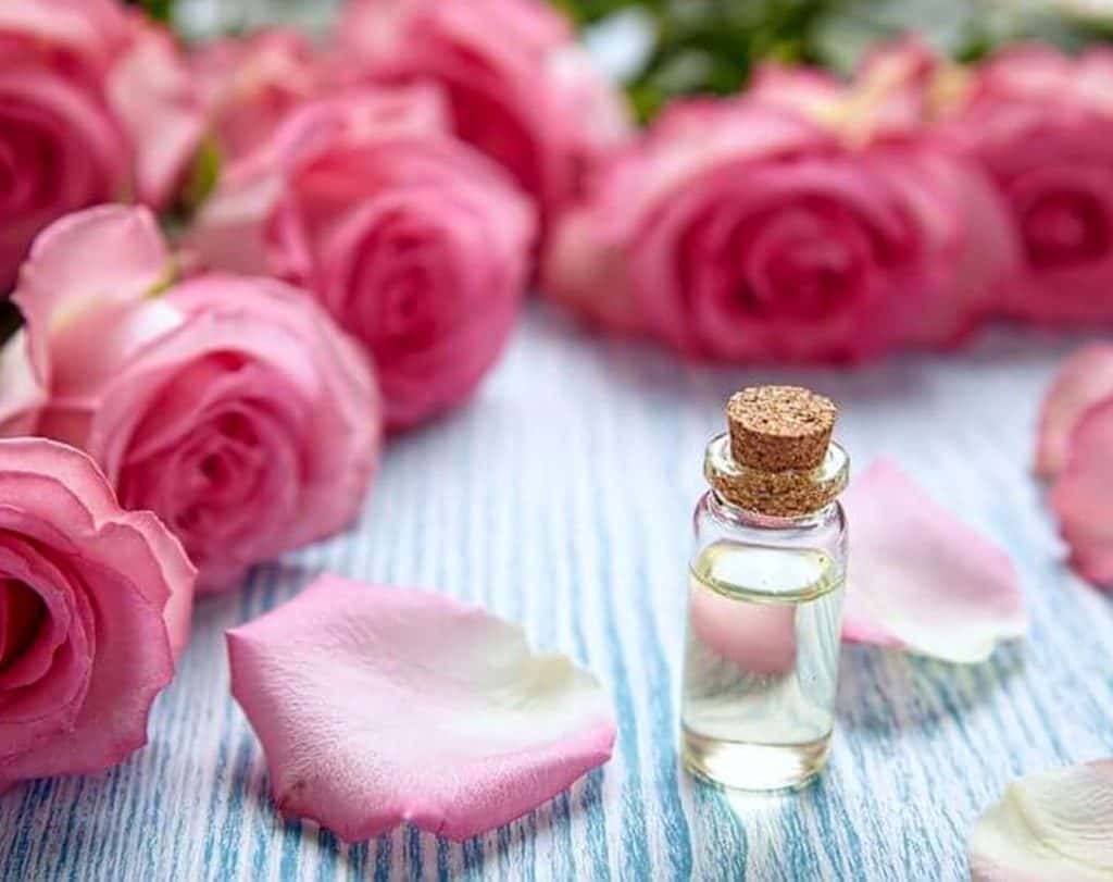 تصویر 2 از گل محمدی کاشان خوشبو مناسب عطر اصل با کیفیت بالا برای محصولات گیاهی